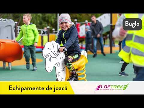 Proiecte LOFTREK